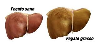 IL FRUTTOSIO FA BENE O FA MALE?